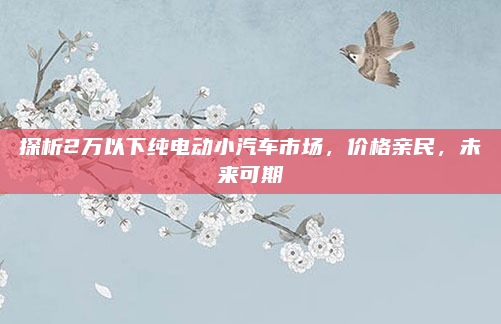 探析2万以下纯电动小汽车市场,价格亲民,未来可期