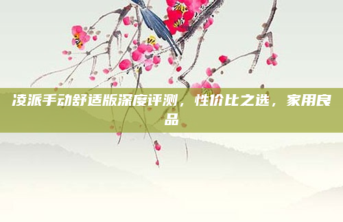 凌派手动舒适版深度评测，性价比之选，家用良品