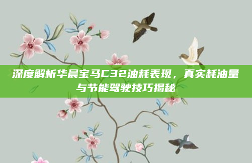 深度解析华晨宝马C32油耗表现,真实耗油量与节能驾驶技巧揭秘