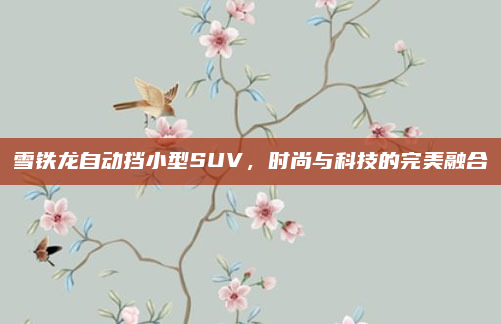 雪铁龙自动挡小型SUV,时尚与科技的完美融合