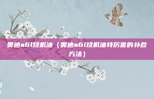 奥迪a6l烧机油(奥迪a6l烧机油特厉害的补救方法)