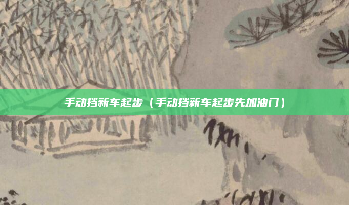 手动挡新车起步(手动挡新车起步先加油门)