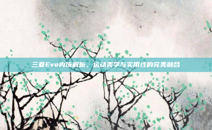 三菱Evo内饰解析，运动美学与实用性的完美融合