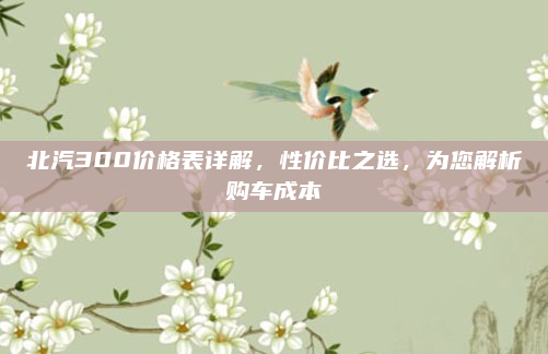 北汽300价格表详解,性价比之选,为您解析购车成本