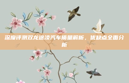 深度评测双龙途凌汽车质量解析，优缺点全面分析