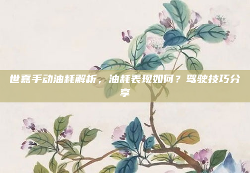 世嘉手动油耗解析，油耗表现如何？驾驶技巧分享