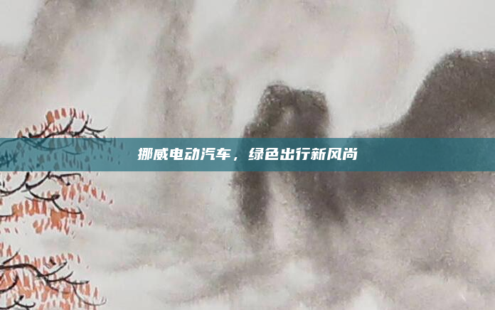 挪威电动汽车,绿色出行新风尚