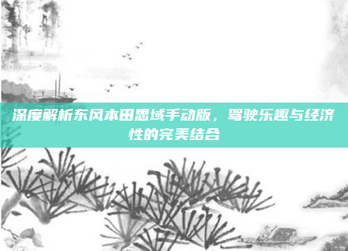 深度解析东风本田思域手动版,驾驶乐趣与经济性的完美结合