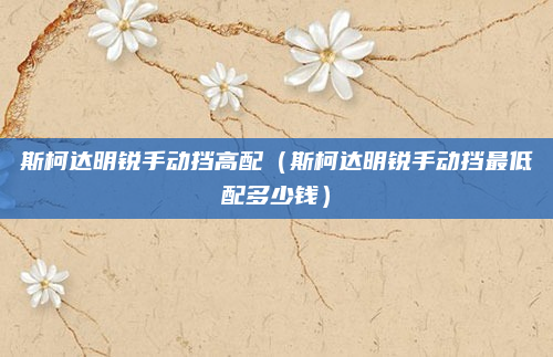 斯柯达明锐手动挡高配(斯柯达明锐手动挡最低配多少钱)