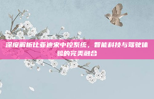 深度解析比亚迪宋中控系统，智能科技与驾驶体验的完美融合