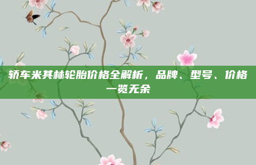 轿车米其林轮胎价格全解析,品牌、型号、价格一览无余