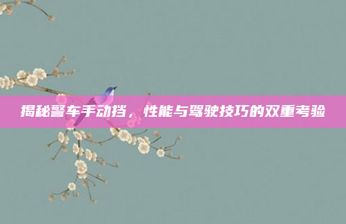 揭秘警车手动挡,性能与驾驶技巧的双重考验