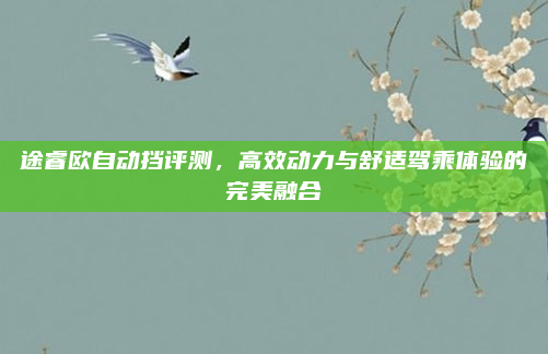 途睿欧自动挡评测，高效动力与舒适驾乘体验的完美融合