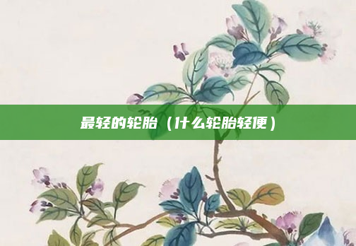 最轻的轮胎（什么轮胎轻便）
