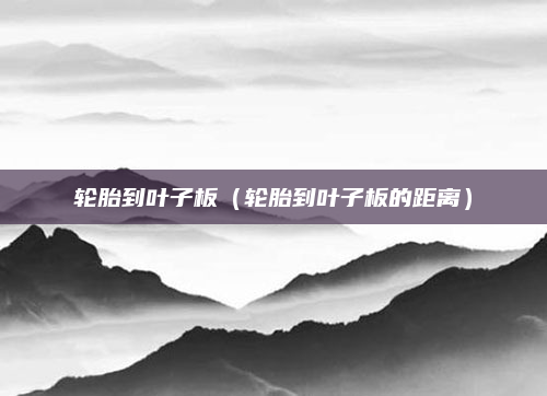 轮胎到叶子板（轮胎到叶子板的距离）