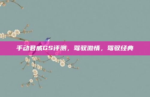 手动君威GS评测，驾驭激情，驾驭经典