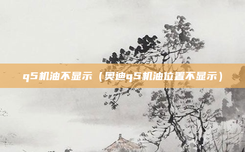 q5机油不显示（奥迪q5机油位置不显示）