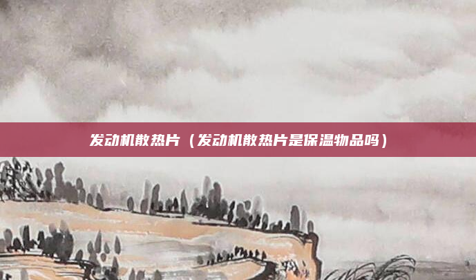 发动机散热片（发动机散热片是保温物品吗）