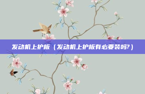 发动机上护板（发动机上护板有必要装吗?）