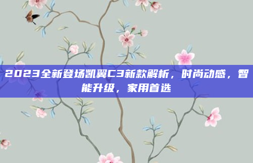 2023全新登场凯翼C3新款解析,时尚动感,智能升级,家用首选
