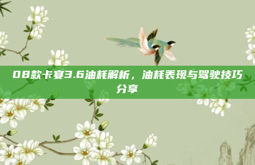 08款卡宴3.6油耗解析，油耗表现与驾驶技巧分享