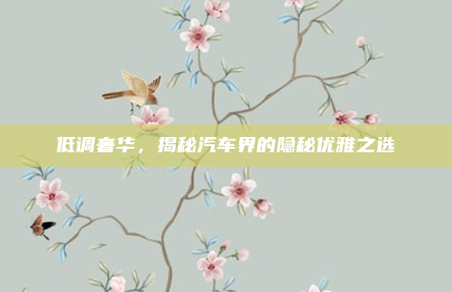 低调奢华,揭秘汽车界的隐秘优雅之选