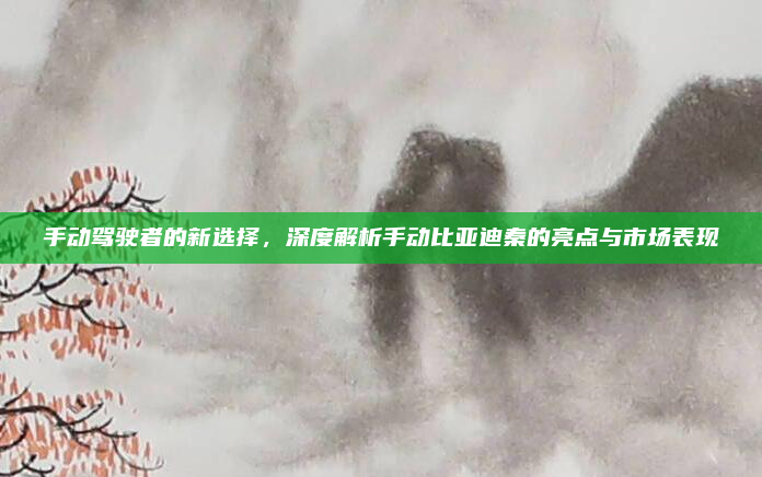 手动驾驶者的新选择,深度解析手动比亚迪秦的亮点与市场表现