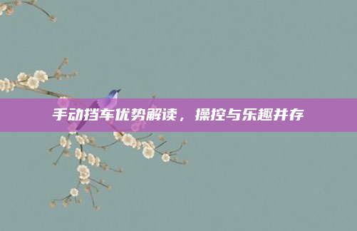 手动挡车优势解读,操控与乐趣并存