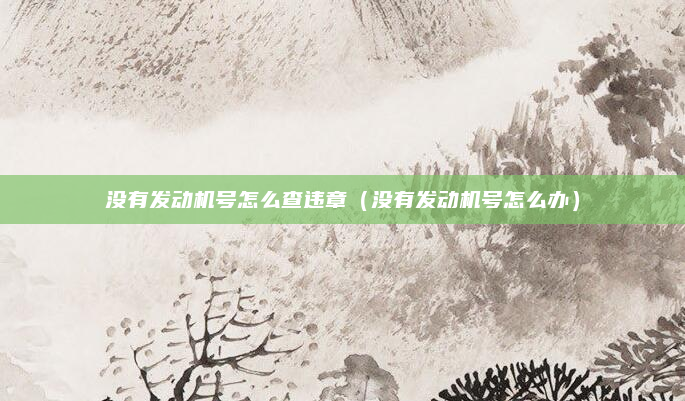 没有发动机号怎么查违章（没有发动机号怎么办）