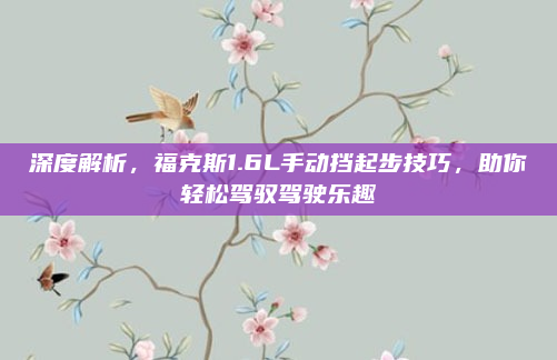 深度解析,福克斯1.6L手动挡起步技巧,助你轻松驾驭驾驶乐趣