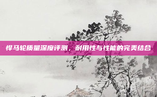 悍马轮质量深度评测,耐用性与性能的完美结合