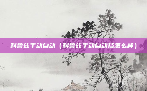 科鲁兹手动自动（科鲁兹手动自动挡怎么样）