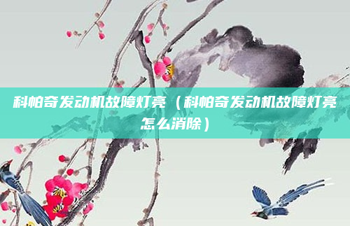 科帕奇发动机故障灯亮（科帕奇发动机故障灯亮怎么消除）