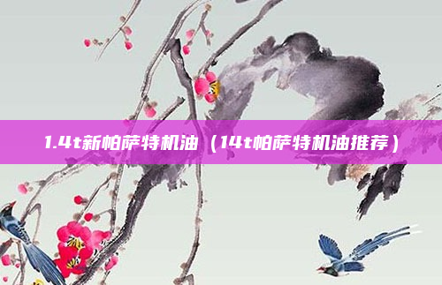 1.4t新帕萨特机油（14t帕萨特机油推荐）