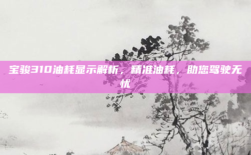 宝骏310油耗显示解析，精准油耗，助您驾驶无忧