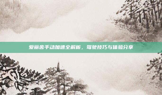 爱丽舍手动加速全解析，驾驶技巧与体验分享