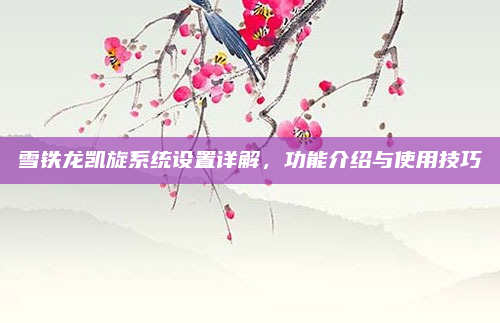 雪铁龙凯旋系统设置详解,功能介绍与使用技巧