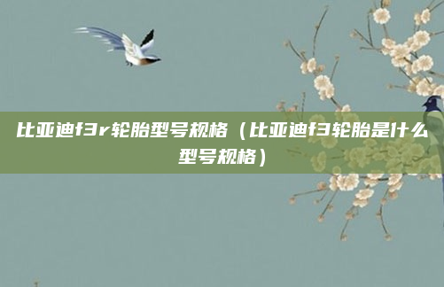 比亚迪f3r轮胎型号规格(比亚迪f3轮胎是什么型号规格)