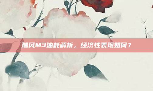 瑞风M3油耗解析,经济性表现如何?