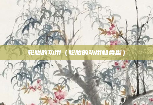 轮胎的功用(轮胎的功用和类型)