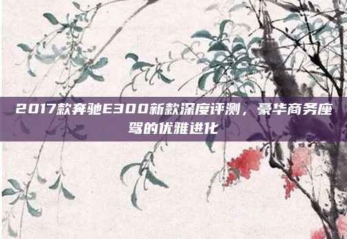 2017款奔驰E300新款深度评测,豪华商务座驾的优雅进化