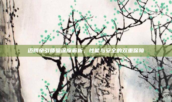 迈腾牵引质量深度解析,性能与安全的双重保障