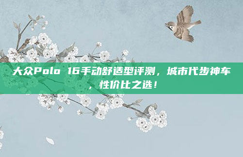 大众Polo 16手动舒适型评测,城市代步神车,性价比之选!