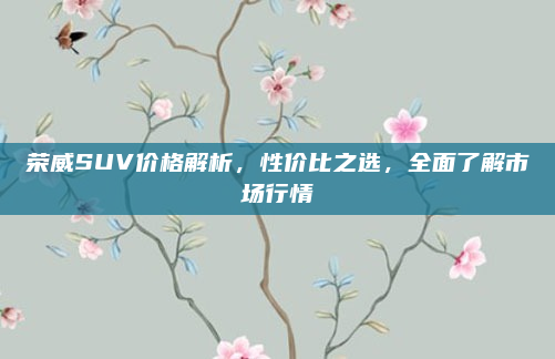 荣威SUV价格解析，性价比之选，全面了解市场行情