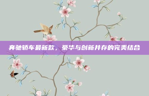 奔驰轿车最新款，豪华与创新并存的完美结合