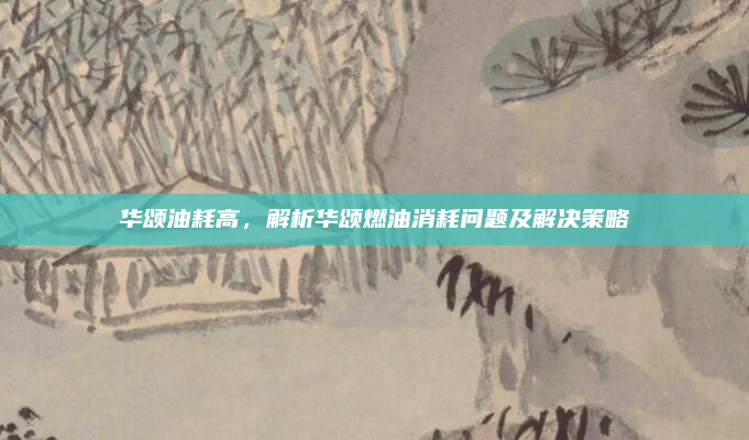 华颂油耗高,解析华颂燃油消耗问题及解决策略