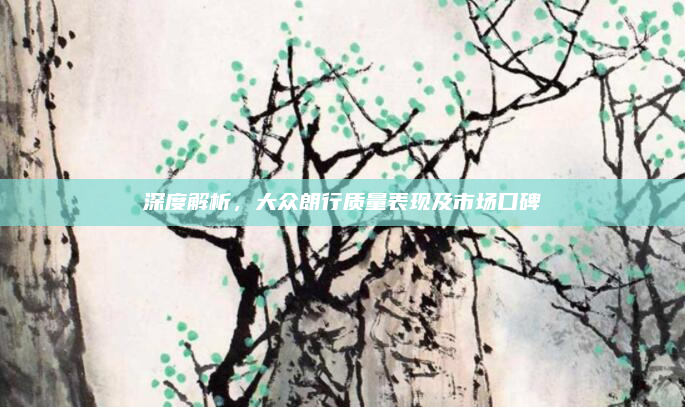 深度解析,大众朗行质量表现及市场口碑