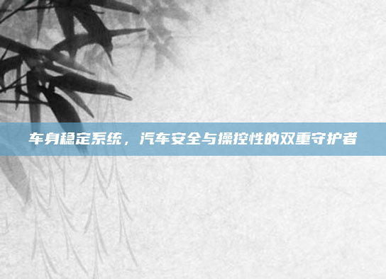 车身稳定系统,汽车安全与操控性的双重守护者