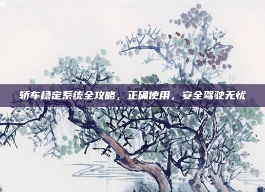 轿车稳定系统全攻略，正确使用，安全驾驶无忧