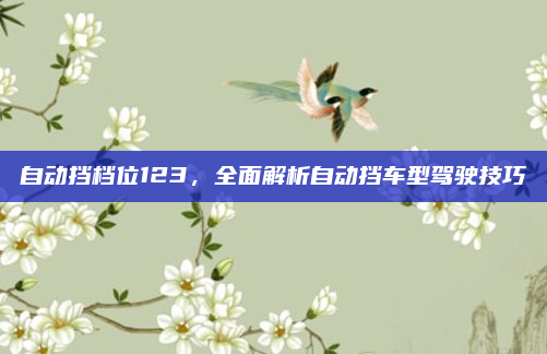 自动挡档位123,全面解析自动挡车型驾驶技巧